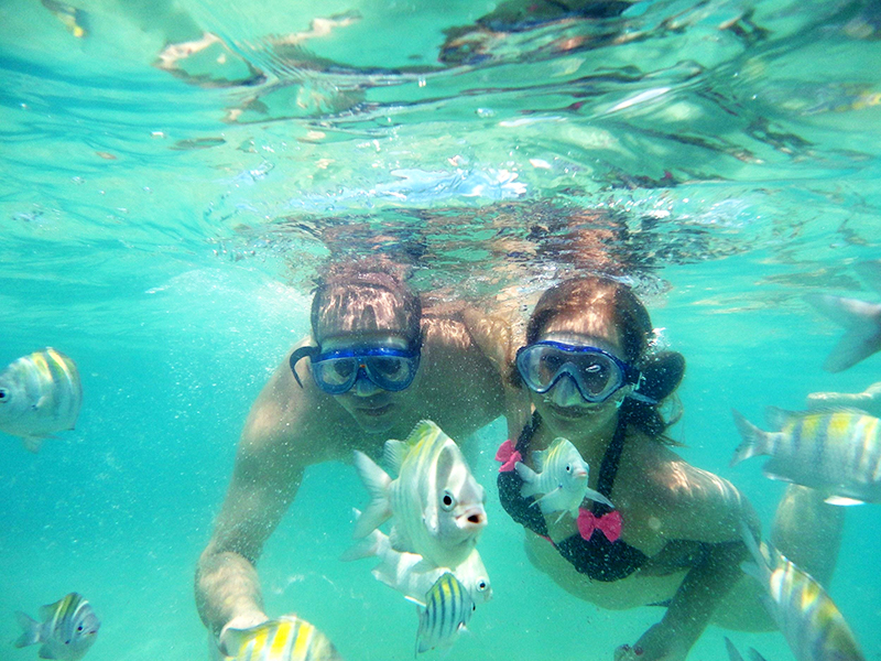 https://zh-tw.dhea-cebu.com/wp-content/uploads/2025/10/Activity_012.jpg
